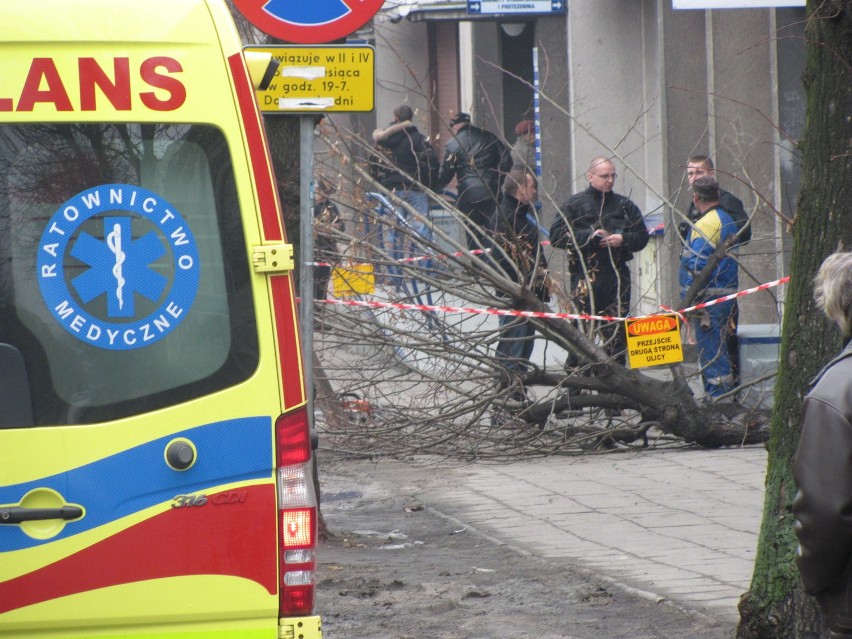 Wypadek na ulicy Lipowej w Kaliszu. Konar ranił mężczyznę. ZDJĘCIA