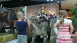 Galeria Olimpia w Bełchatowie pokazuje dinozaury