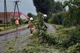 Silny wiatr w Grudziądzu i powiecie grudziądzkim łamie drzewa. W części wsi pod Grudziądzem nie ma prądu