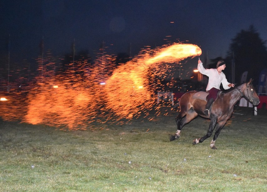 Nocny pokaz "Koń i ogień - dwa żywioły" na zamku w...