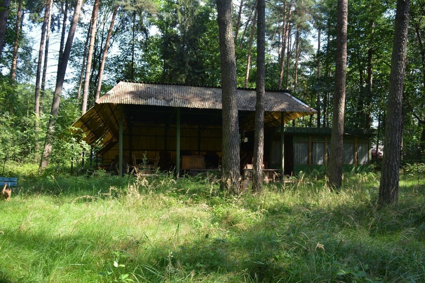 Woszczyce: opuszczony ośrodek wczasowy w środku lasu budzi...