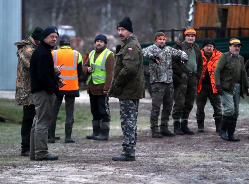 Protestowali przeciwko odstrzeleniu dzików w regionie