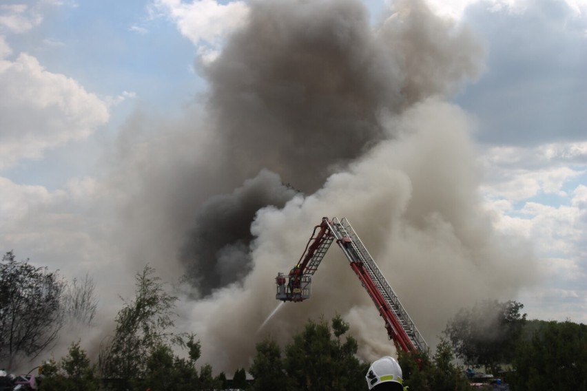 AKTUALIZACJA: Strażacy przez prawie 9 godzin walczyli z pożarem wysypiska śmieci w Lutogniewie [ZDJĘCIA + FILM]
