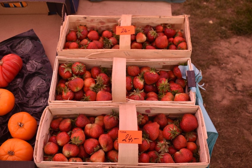 Po ile truskawki w Radomsku? Gdzie można kupić owoce i w jakich cenach? [ZDJĘCIA]
