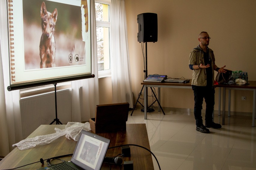 W Nekielkim Ośrodku Kultury dr Korneliusz Kurek opowiadał o tym jak zachowują się wilki