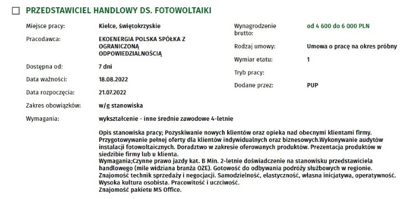 Są świetne oferty pracy w Kielcach. Można zarobić nawet 10 tysięcy złotych miesięcznie. Zobacz oferty pracy z najwyższymi zarobkami