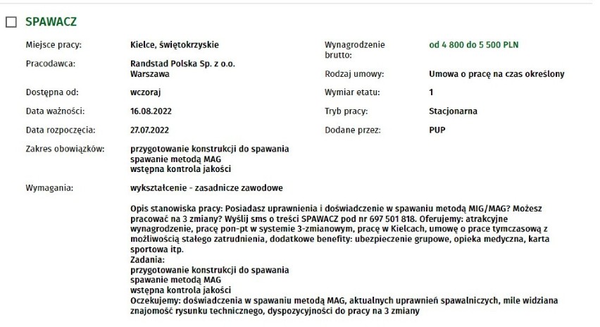 Są świetne oferty pracy w Kielcach. Można zarobić nawet 10 tysięcy złotych miesięcznie. Zobacz oferty pracy z najwyższymi zarobkami