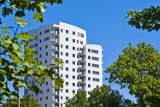 Centralpark - apartamenty nad Jaśkową Doliną