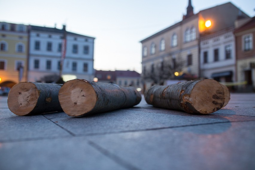 Tarnów. Otwarty trening Runmagedon [ZDJĘCIA]