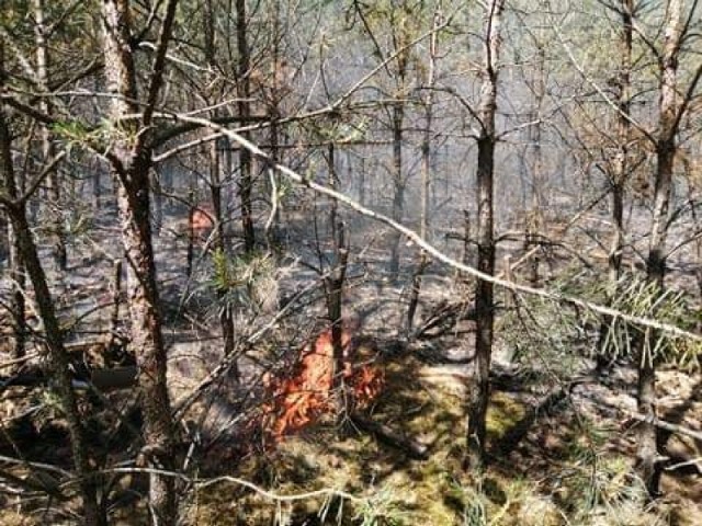 W tym samym miejscu, co dzień wcześniej, pali się las