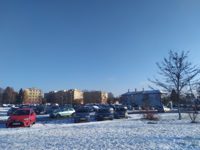 Pierwsze oznaki zimy w Zamościu. Zobacz zdjęcia