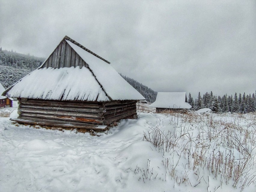 Tatry. Piękna zima w górach. Hala Gąsienicowa zasypana śniegiem. Jest pięknie! 1.12.