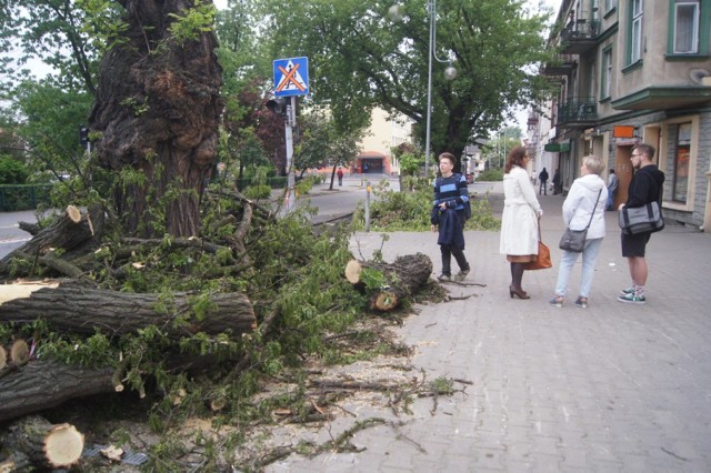 Protest przeciwko wycince drzew w Radomsku. Dawid Wawryka i Instytut Miasto Otwarte w obronie zieleni