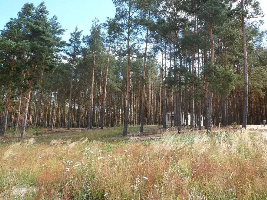 Działka o pow. 1200m2, położona na skraju lasu, w Młyniskach...