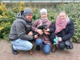 Te psy adoptowano ze schroniska w Toruniu. Zobaczcie zdjęcia