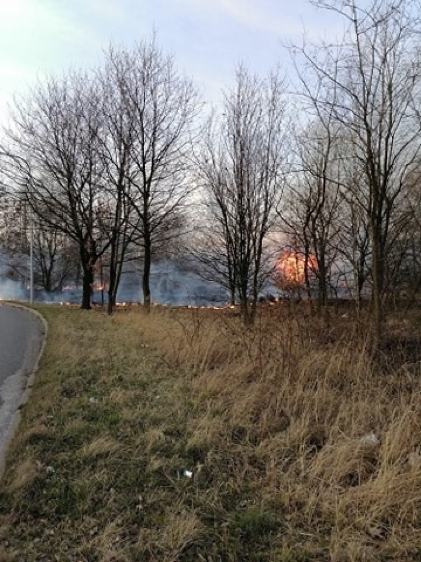Strażacy gasili pożar przy ulicy Rajskiej w Rybniku