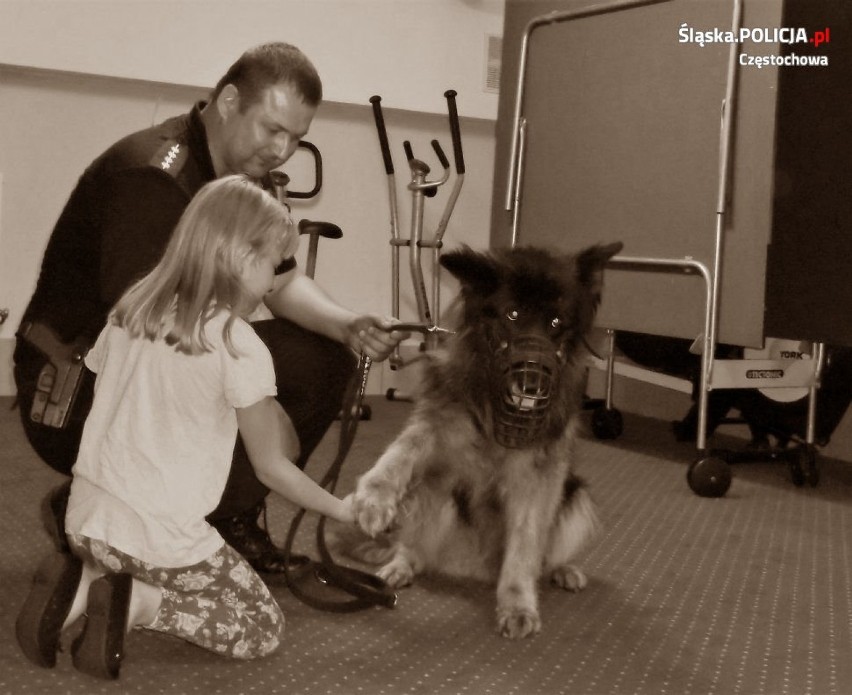 Częstochowa: Policja. Nie żyje Rambo, pies policyjny, który służył w częstochowskim garnizonie od 2012 roku [ZDJĘCIA]