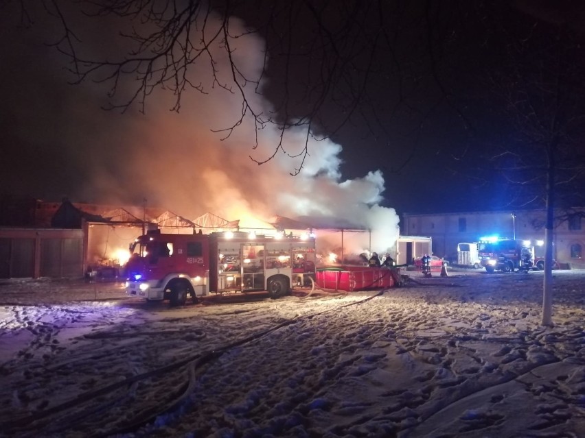 Pożar w stadninie konie w Piotrkowicach