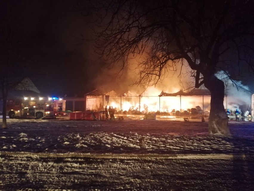 Pożar w stadninie konie w Piotrkowicach