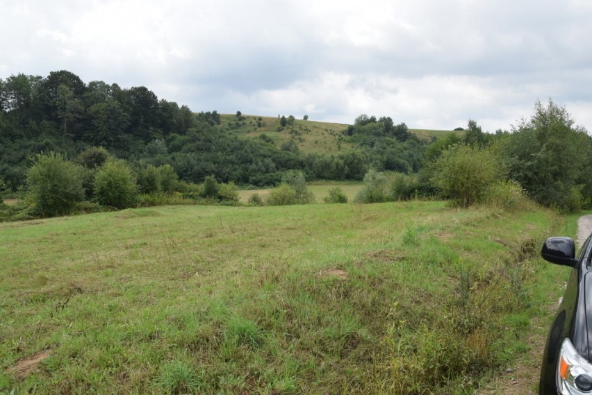 Tereny pod zbiornik zostały niedawno wykoszone