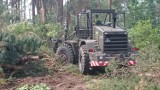 Nawałnice w gminie Paradyż: Na pomoc w usuwaniu połamanych drzew ruszyło wojsko [ZDJĘCIA]