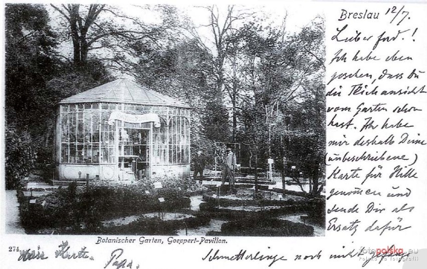 Ogród Botaniczny za Niemca. Wrocław przed II wojną światową
