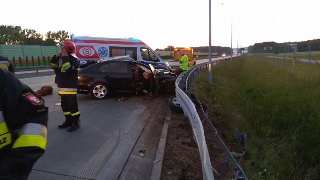 Dziś, 19 czerwca 2017 roku na S8 pod Wolborzem doszło do dwóch wypadków - najpierw skoda octavia zderzyła się z łosiem (na zdjęciu), a potem kierująca volkswagenem  śmiertelnie potrąciła kobietę przechodzącą przez drogę w niedozwolonym miejscu