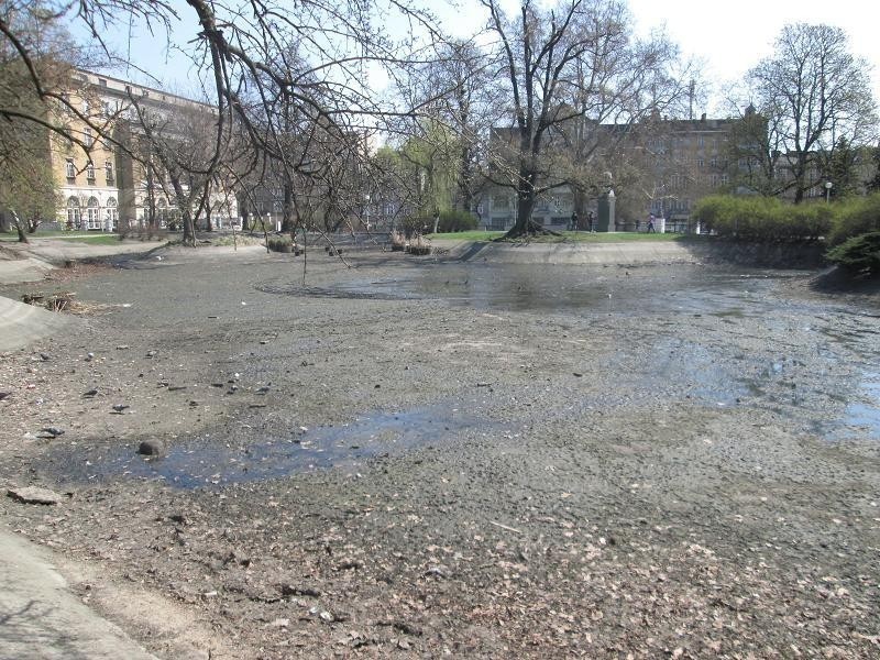 W parku Wilsona trwa czyszczenie stawu