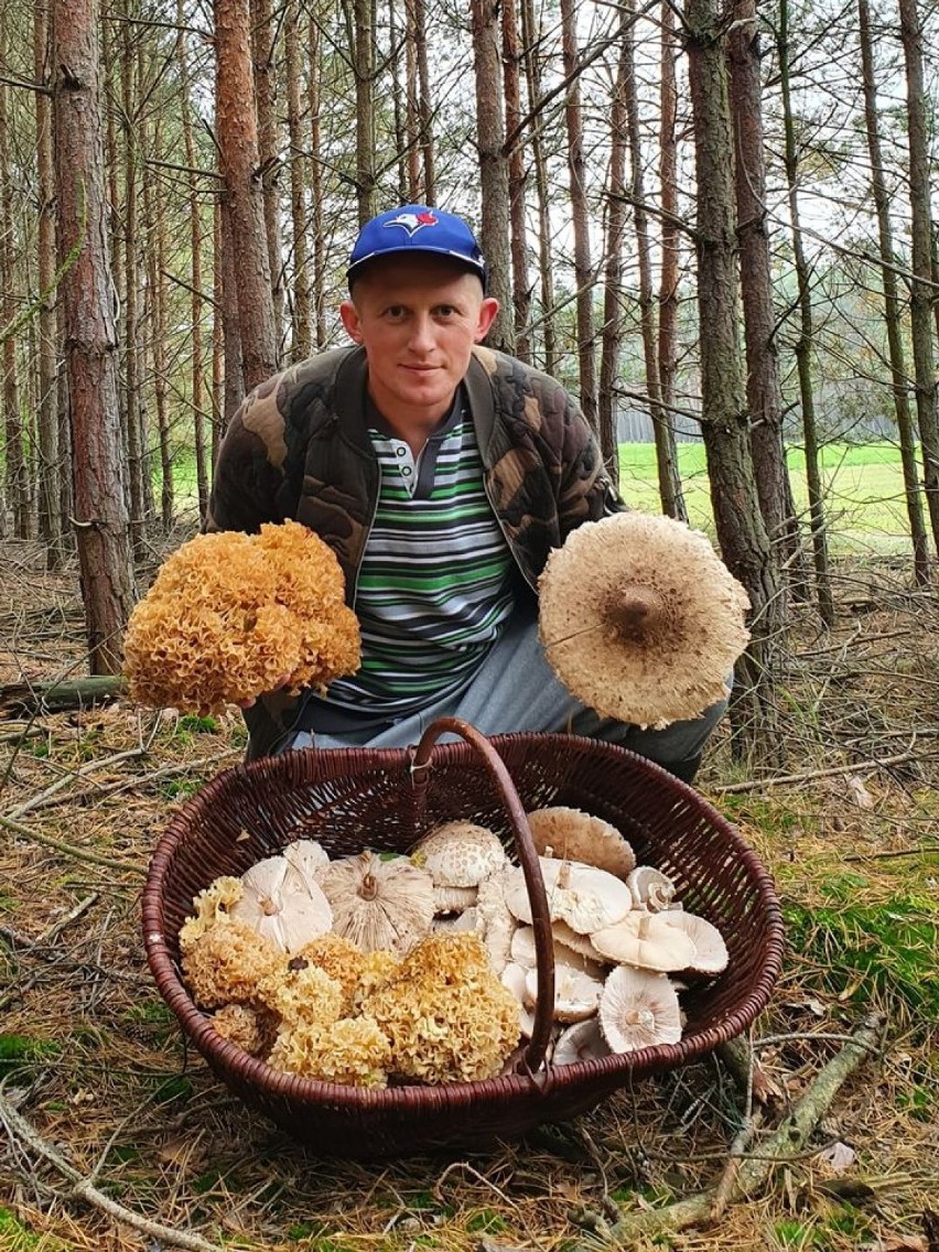 Zbąszyń: Sezon grzybowy trwa - w lasach jest ich pełno!  Oto galeria Waszych zbiorów! [Zdjęcia]                                 