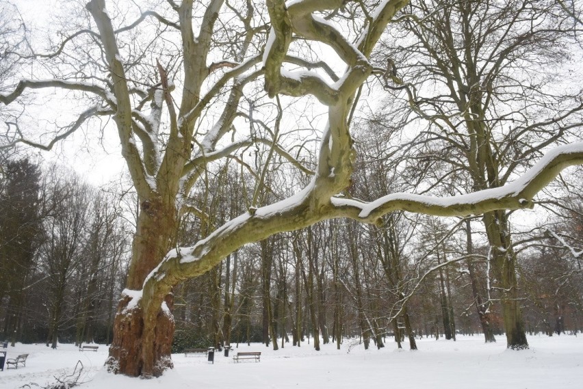 Pałac i park w Iłowej Żagańskiej o każdej porze roku wygląda...