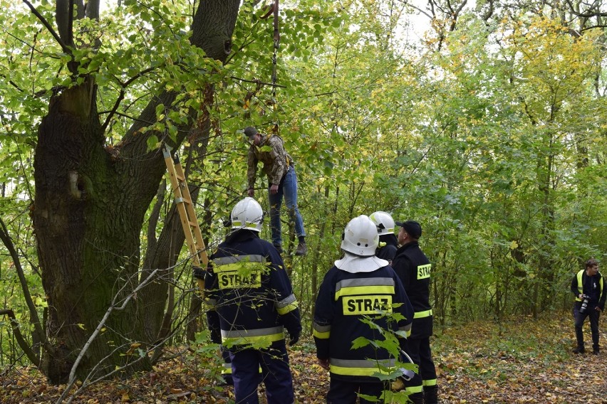 OSP z gminy Głogów ratowali paralotniarza, który spadł na drzewo