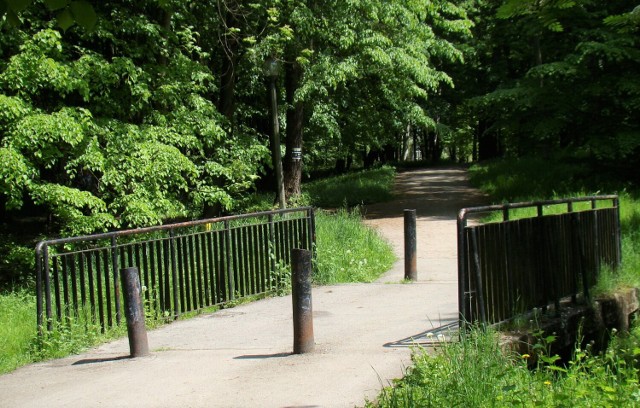 Uczestnicy ankiety przeprowadzonej przez urząd Oświęcimiu chcą, by tereny między ulicami Tysiąclecia i Olszewskiego także zagospodarować na park z prawdziwego zdarzenia