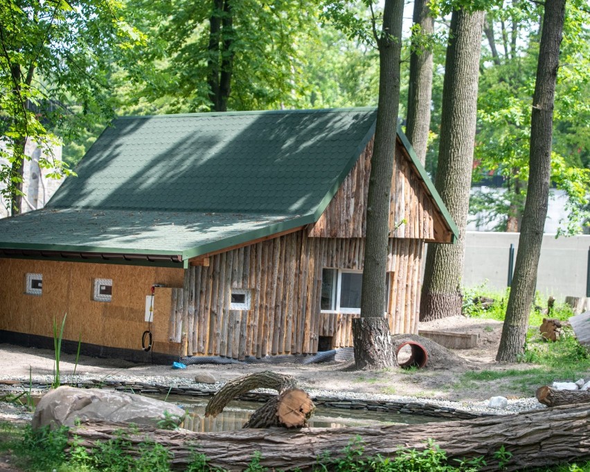 W Ogrodzie Zoologicznym będzie można oglądać niezwykłe zwierzęta