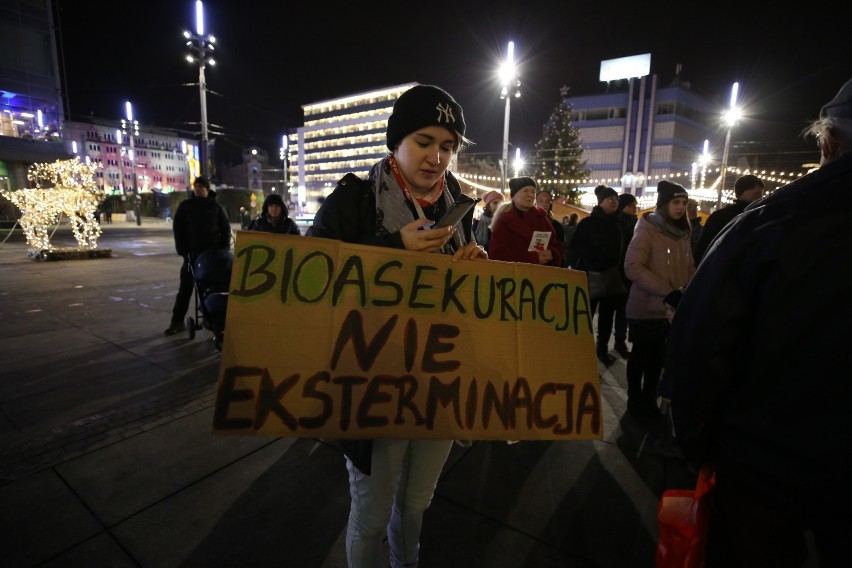 Las dla ludzi - nie dla myśliwych, Stop rzezi dzików: pod takimi hasłami demonstrowano w Katowicach ZDJĘCIA 