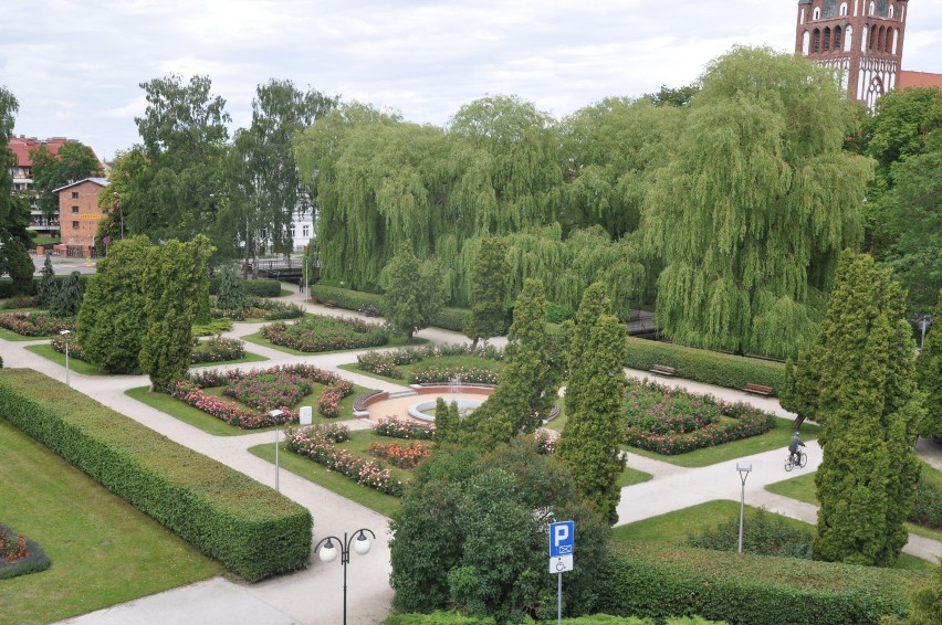 Ogród różany w parku w Szczecinku - park był zdecydowanie...