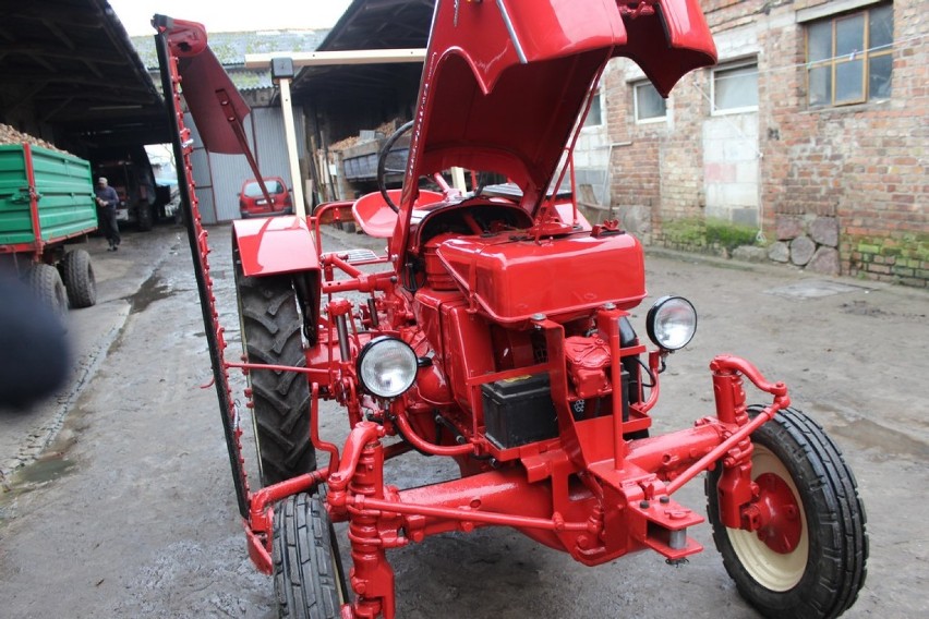 Czerwony traktor Porsche diesel Allgaier - rok produkcji 1956, po renowacji jest jak nowy