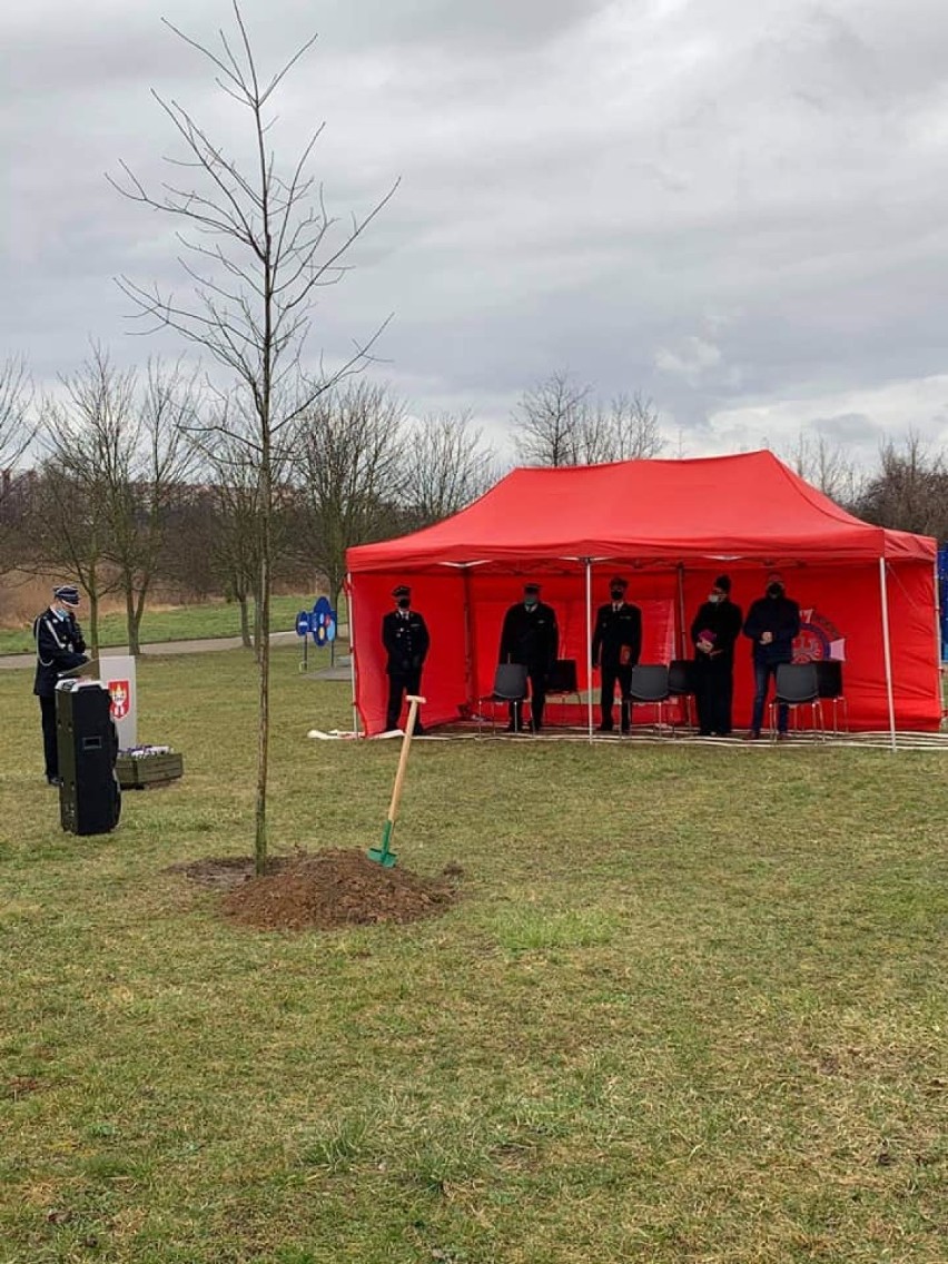 OSP Śrem obchodziła jubileusz 220-lecia działalności. O tym...