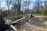 Starogard Gd. Starosta wydał pozwolenie na przebudowę parku miejskiego. Prace ruszą w maju