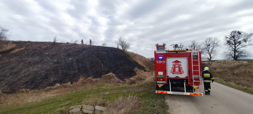 Strażacy gasili pożar traw w Szropach! No zaczęło się! ZDJĘCIA