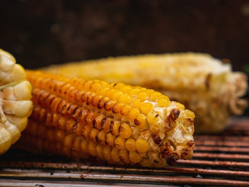 Aby upiec kukurydzę na grillu, trzeba ją najpierw podgotować...