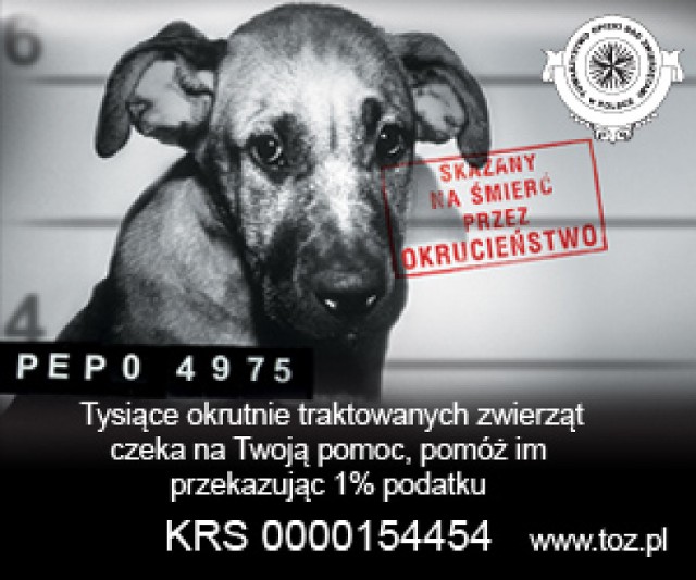 Przekaż na rzecz Towarzystwa Opieki nad Zwierzętami w Polsce 1% ...