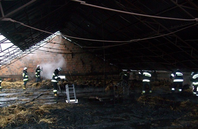 700 sztuk gęsi udało się ewakuować z płonącego budynku