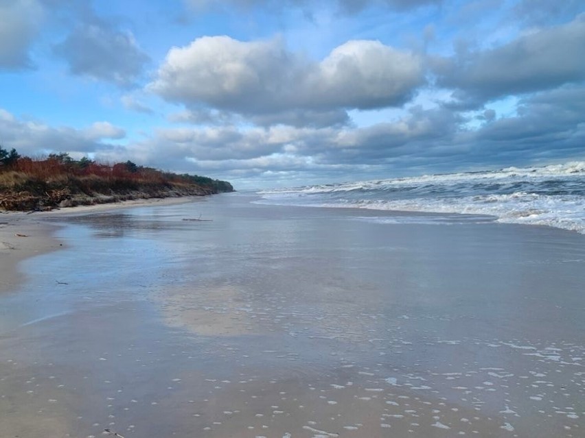 Jastarnia po sztormie (30.01.2022). Bałtyk zabrał sporo plaż, wejścia na plaże zarzucone roślinami. Bałtyk niszczył brzegi | ZDJĘCIA, WIDEO