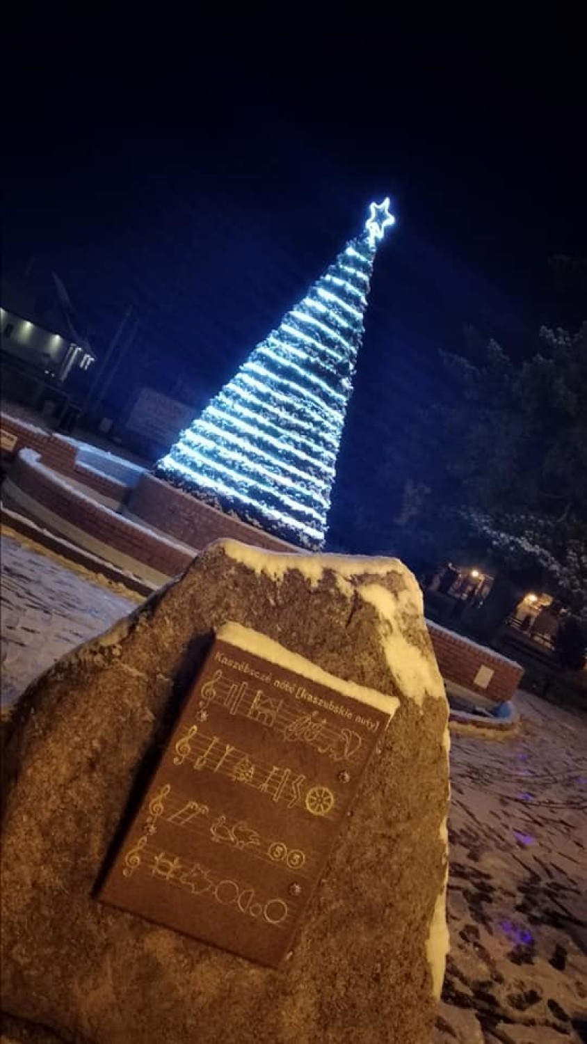 Bajeczna choinka w Jastrzębiej Górze (Boże Narodzenie 2018)