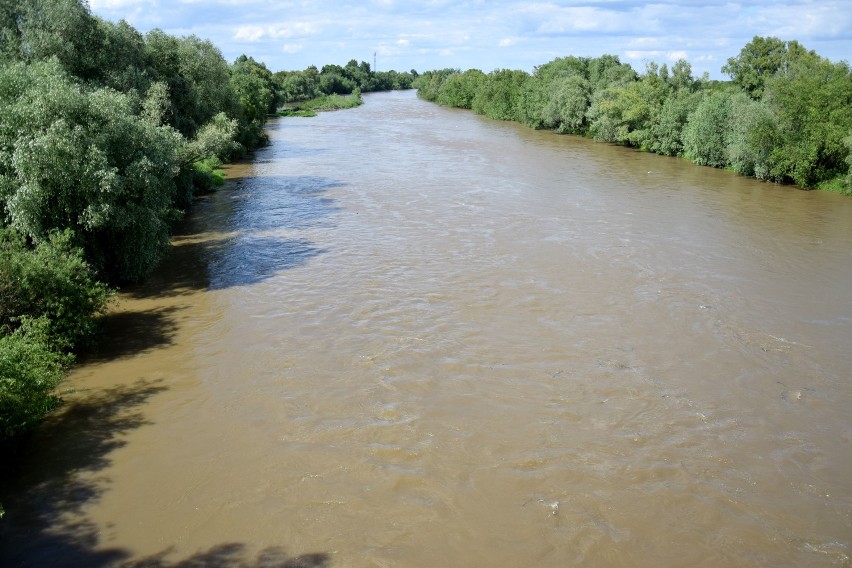 Po ostatnich deszczach podniósł się poziom wody w Sanie w Jarosławiu [ZDJĘCIA]