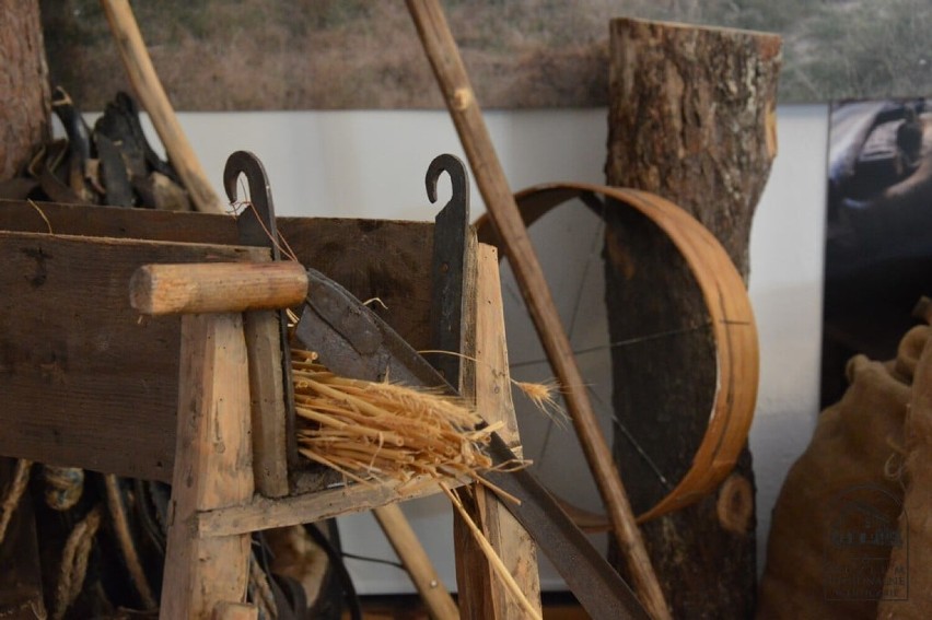 Wyjątkowa wystawa "Od ziarenka do bochenka" w opoczyńskim muzeum [ZDJĘCIA]