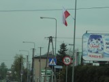 Żory: Flagi biało-czerwone powiewają w naszym mieście