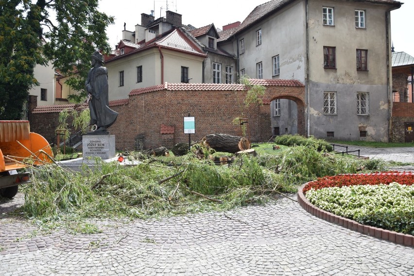 Tarnów. Okazała wierzba obok pomnika gen. Józefa Bema na ul. Wałowej wycięta. W nocy część drzewa runęła [ZDJĘCIA]