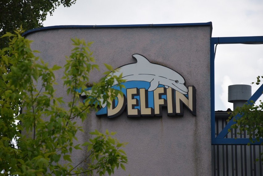 Teren wokół nieczynnego basenu Delfin w Kaliszu jest...