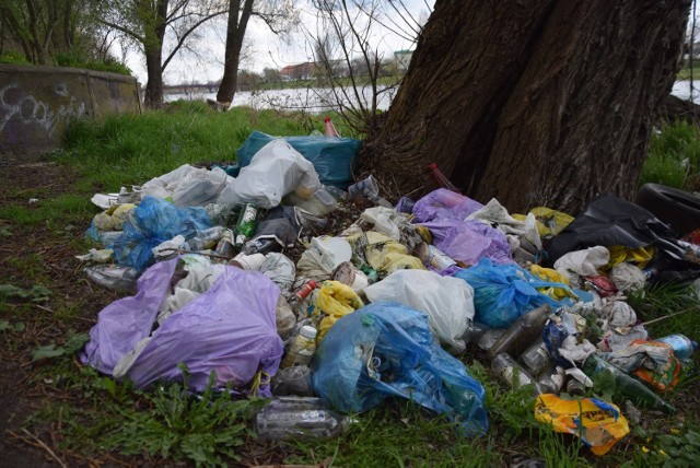 Śmieci nad brzegiem Warty walają się od lat. A przecież rzeka to ozdoba miasta! Zróbmy coś z tym!